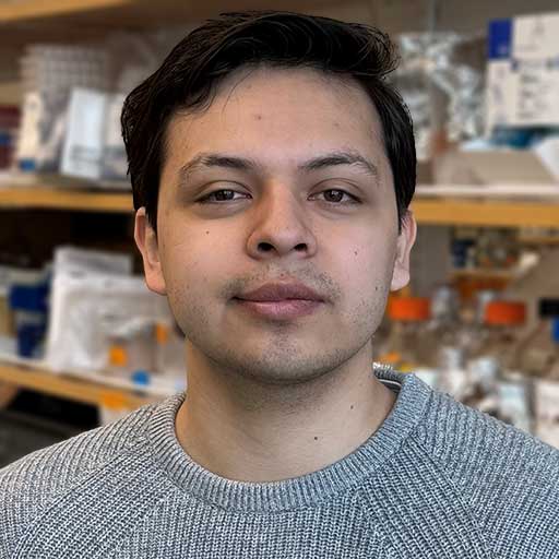 Picture of  Paul Moscoso Serrano