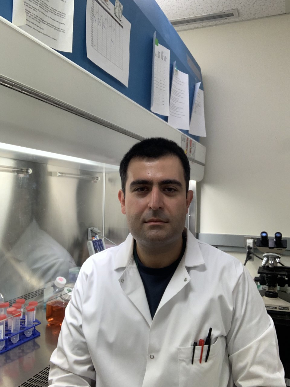 Picture of  Arzhang Shayeganmehr