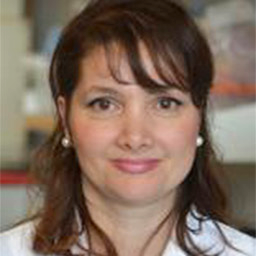 Picture of Dr. Silvana Papagerakis