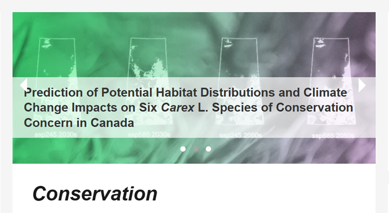 Conservation Cover Image