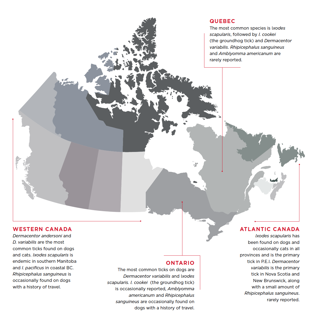 Tick species in Canada