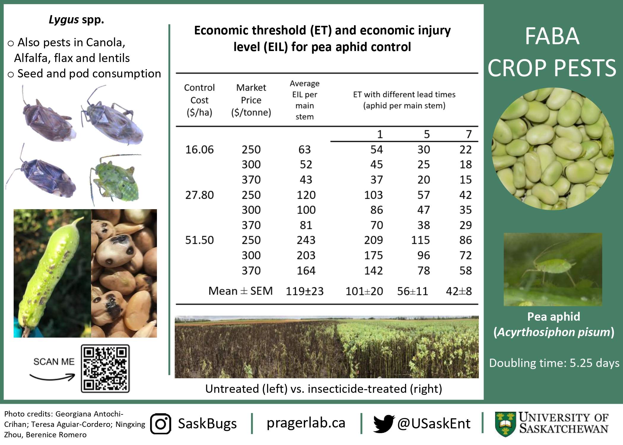 Crop pests - Faba