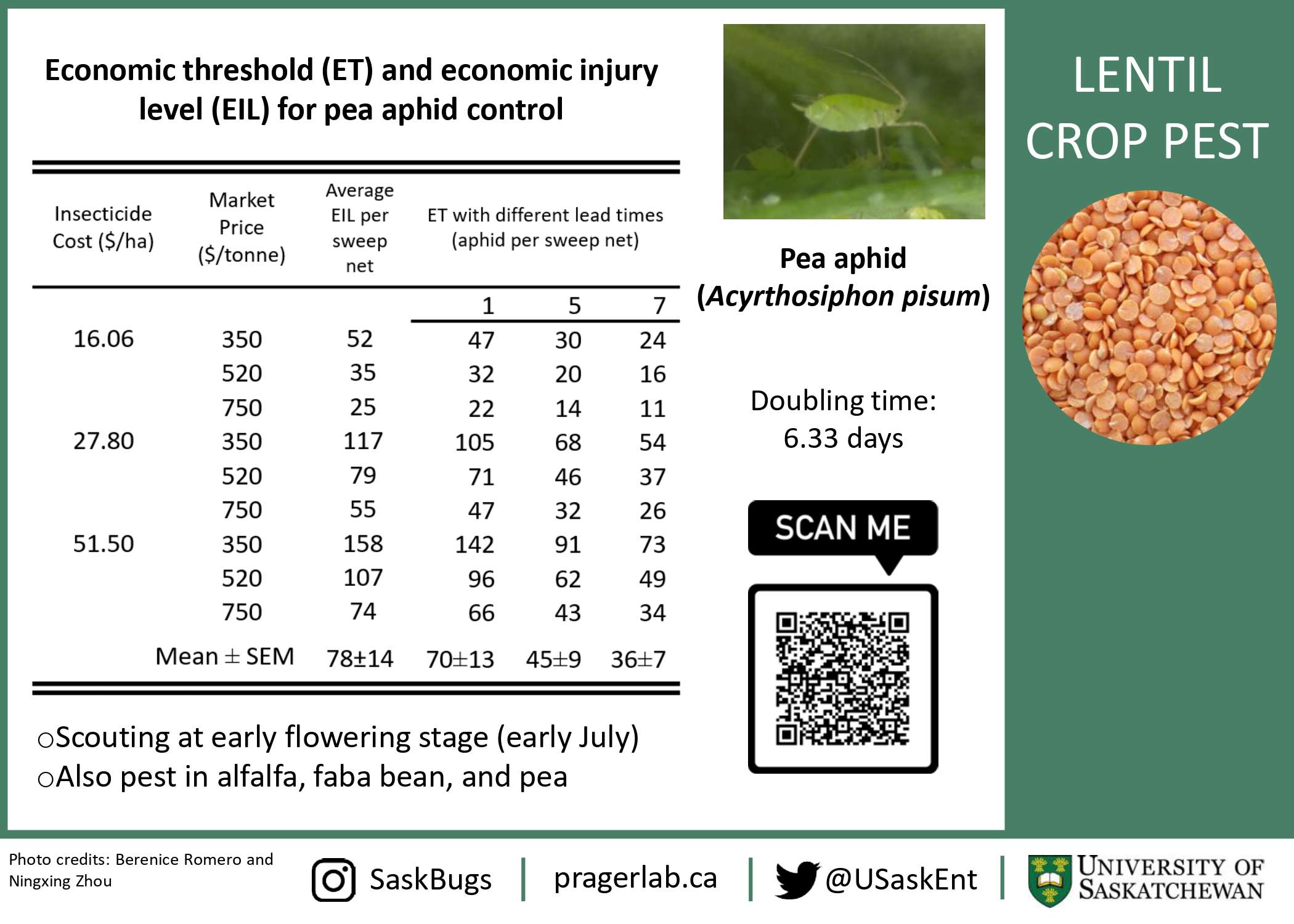Crop pests - Lentil