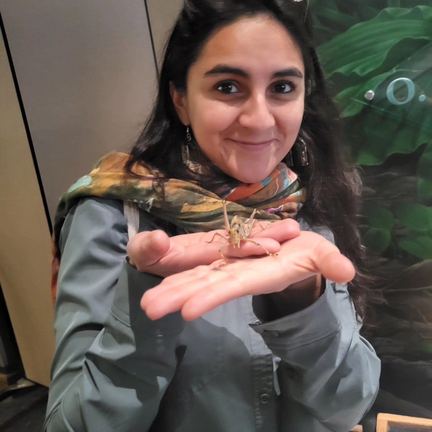 Picture of  Teresa Aguiar Cordero