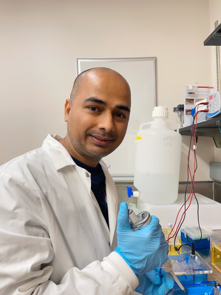 Picture of Dr. Dinesh Paudel