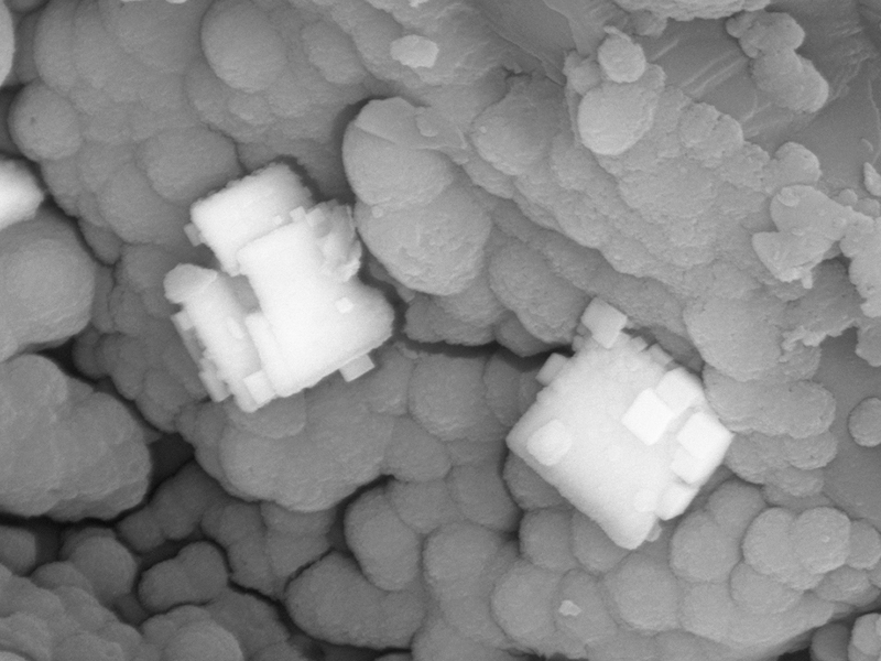 SEM image of pyrite crystals formed in passive mine water treatment experiments at the Greens Creek Mine, Alaska, USA.