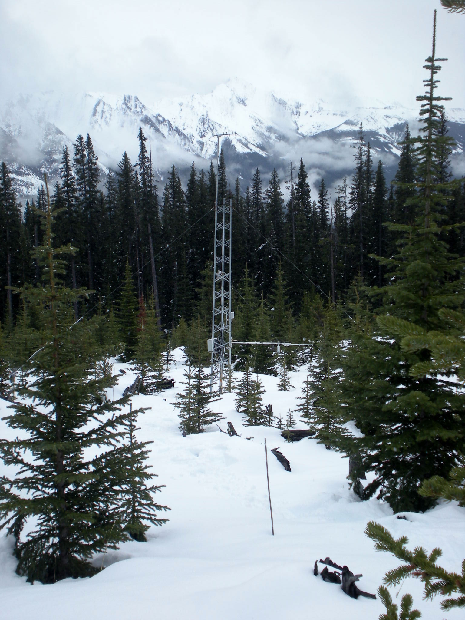vista-view-site-at-marmot.jpg