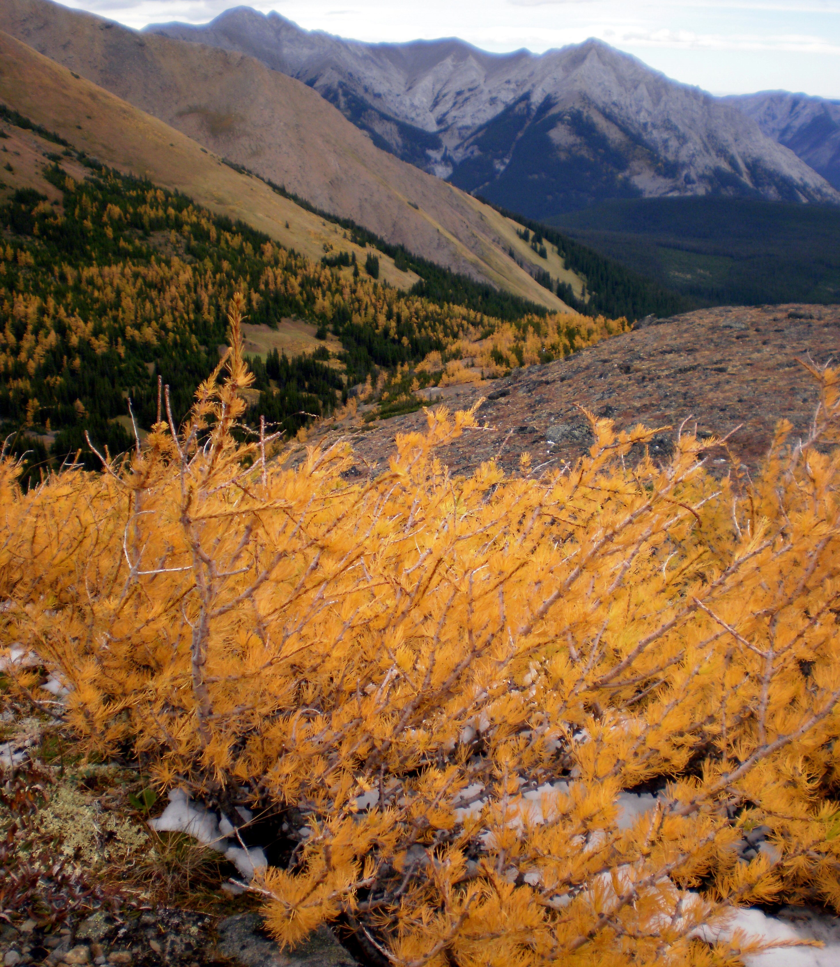 Marmot Creek Research Basin