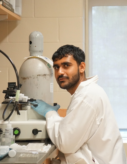 Picture of  Hassaan Sabir