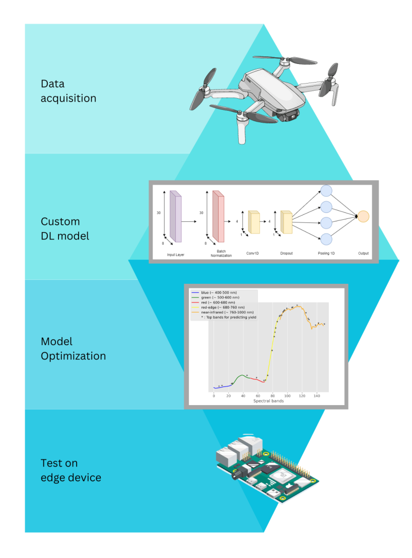 Workflow from drone data acquisition through a deep learning model to deployment on an edge device.