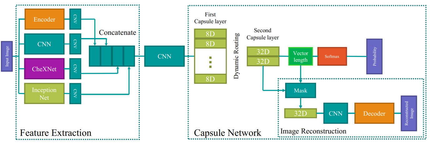 Network diagram combining CNN feature extraction, a capsule network and an image reconstruction decoder.