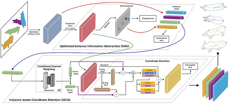 Architecture diagram of the instance-aware coordinate attention head used for pig pose estimation.