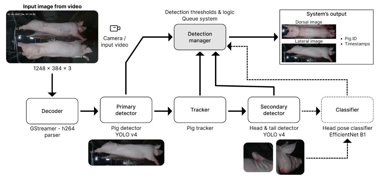 System diagram with a video decoder, pig detector, tracker and head pose classifier.