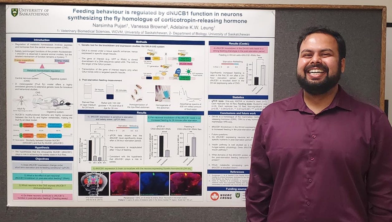 Narsimha Pujari - First Place in Basic Science & Microbiome: 2022 WCVM Graduate Student Poster Day 'Post-starvation feeding behaviour is regulated by NUCB1 via its expression in tissues analogous to the hypothalamus'