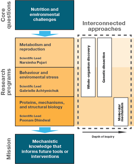 flow diagram of our research programs
