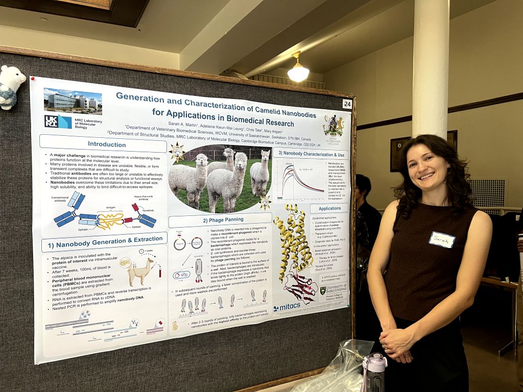 Sarah Martin - 2026 SURE Symposium – One Health Signature Area of Research Award