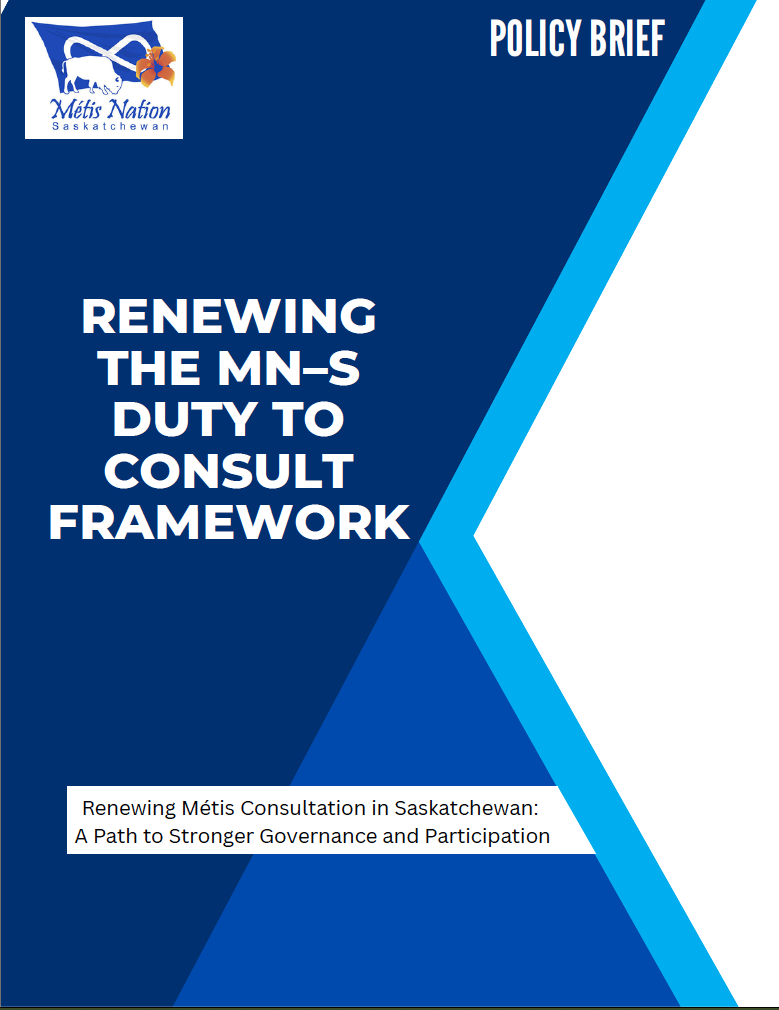 Screenshot Policy Brief - MN - S Framework