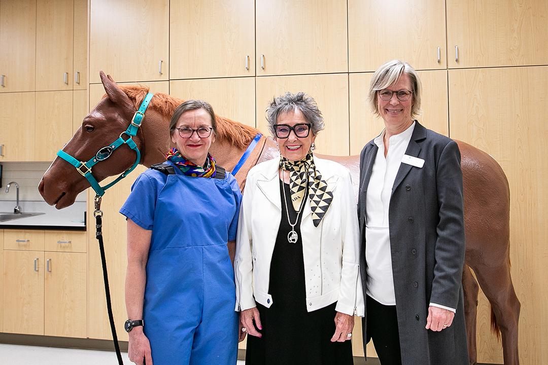 Dr. Claire Card (left) received her Distinguished Professor title in June 2026. She stands beside WCVM donor Dr. June Donaldson (centre) and Dr. Gillian Muir, the college's dean, after demonstrating Bubbles, the foaling simulation model donated by Donaldson. Photo: Christina Weese.