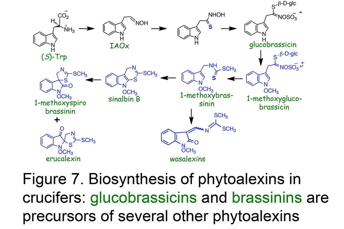 Research - Chemical Ecology and Natural Products Chemistry 