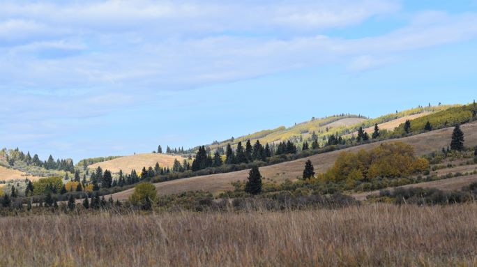 Tongue Creek Ranch Grasslands