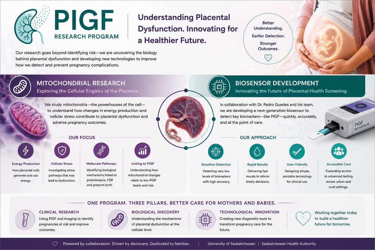 PlGF Research Program infographic: mitochondrial research and biosensor development