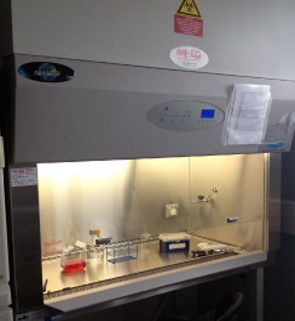 Biosafety Cabinet