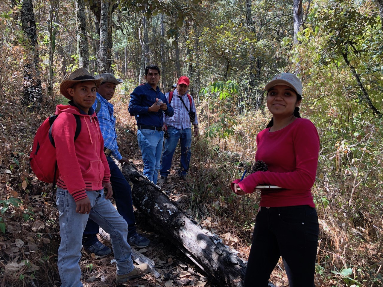 Future of Forest Work and Communities (FoFW) - UNESCO Chair in ...