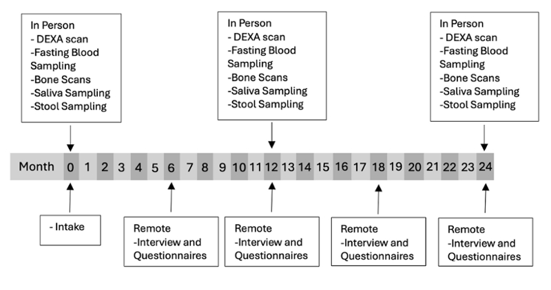 Timeline of the study